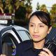 What is the Police-Public Contact Survey