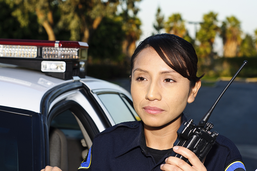 What is the Police-Public Contact Survey